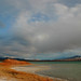Crystal Ash Photo 20