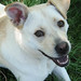 Maggie Sweet Photo 16