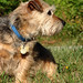 Willard Summers Photo 6