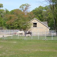 Susan Poulos Photo 18