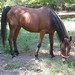Sandra Slaughter Photo 21