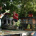 Ginger Camp Photo 24