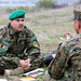 Mohammad Hashmi Photo 13