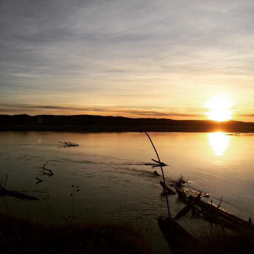 Dan Andersen Photo 15