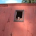 Kathleen Nicholas Photo 14