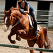 Sue Sorrell Photo 13