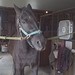 Cody Morgan Photo 24
