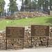 Jane Hickok Photo 12