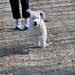 Nancy Hadley Photo 28