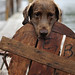 Michael Waterman Photo 33