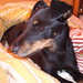Judy Betts Photo 17