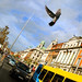 David Spires Photo 31