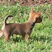 Hazel Vaughn Photo 12