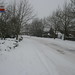 Gus Singleton Photo 17