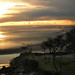 Jenny Browning Photo 10
