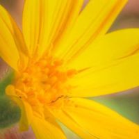 Christine Foran Photo 11