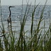 Fred Herron Photo 12
