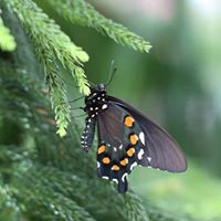 Christine Colvin Photo 19