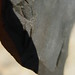 Flint Stone Photo 18