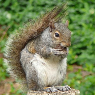 Theresa Batalogianis Photo 2