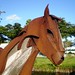 James Burnes Photo 35