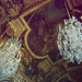 Gregory Weiss Photo 8