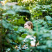 Stephanie Rust Photo 18
