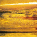 Neil Gold Photo 11