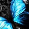 Cassie Shaw Photo 12