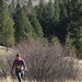 Jamie Shepard Photo 39