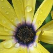 Holly Curtis Photo 15
