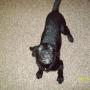 Rick Howell Photo 38