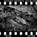 Stephen Frame Photo 19