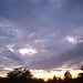 Jerome Lofton Photo 7