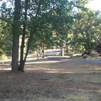 Michele Hornback Photo 7