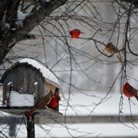 Kimberly Noble Photo 16