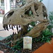 Rex Stevens Photo 15