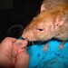 Terrance Ryan Photo 10