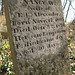 Nancy Williamson Photo 34