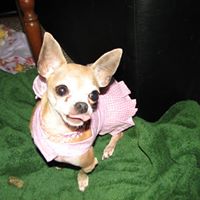 Kathleen Addison Photo 3