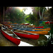 River Jordan Photo 32