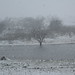 Cynthia Hutto Photo 14