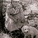 Irene Harrison Photo 30