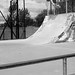 Beverley Ford Photo 12
