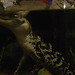 Ruthann Ross Photo 13