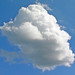 John Calkins Photo 33