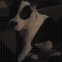 Rachel Grissom Photo 5