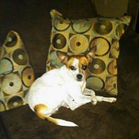 Jennifer Jessee Photo 5