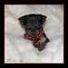 Jan Everhart Photo 7