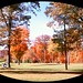 Scott Comstock Photo 18